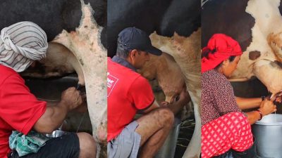 दूध दुहुने प्रतियोगितात्मक रियालिटी शो ‘दूध’ सुरु हुँदै