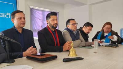 रास्वपामा एकता सुदृढ गर्ने प्रयास, पदाधिकारी संख्या विस्तार